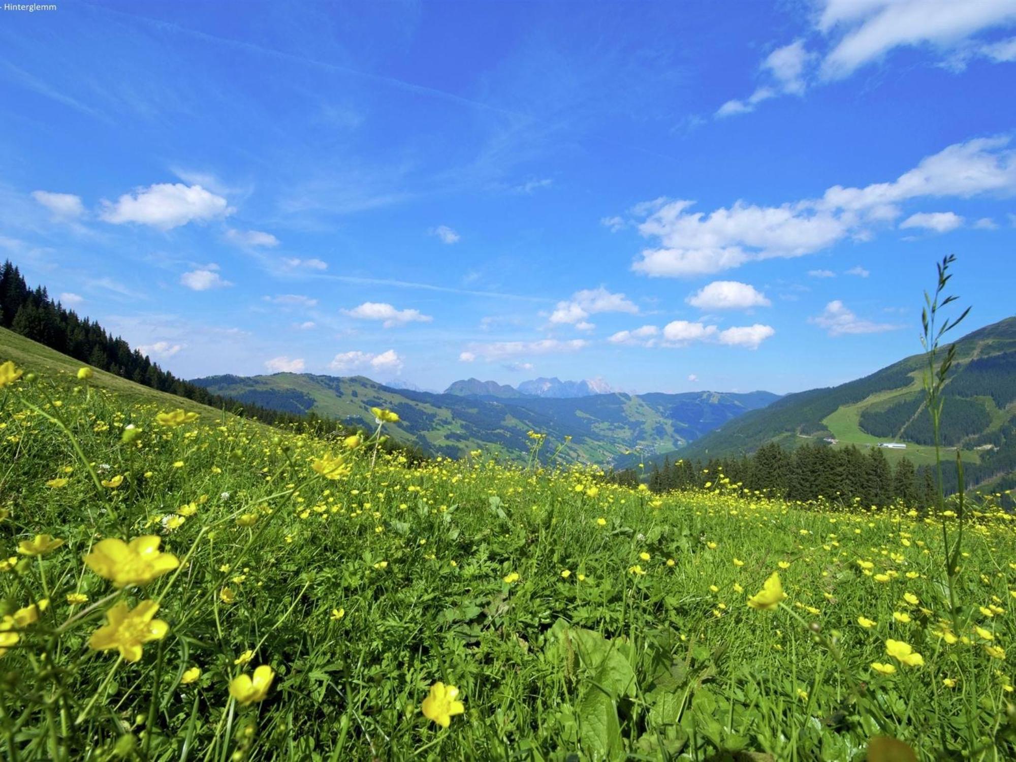 Large Chalet Apartment In Saalbach Hinterglemm Luaran gambar